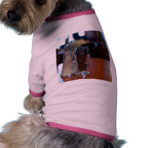 Salt And Pepper Shackers pet clothing