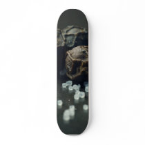 Salt And Pepper skateboards