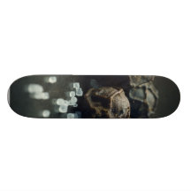 Salt And Pepper Skateboard Decks