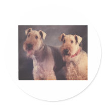 salt and ritz stickers
