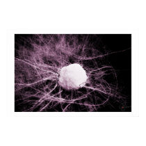 Salt Ball posters by eliorart Salt Ball posters