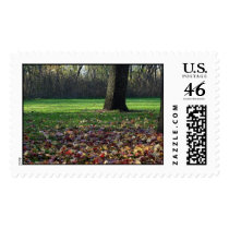 Salt Creek Leaf Bed Stamps