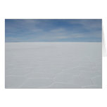 Salt Flats cards
