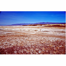 Salt Flats Photo Cut Outs