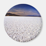 Salt Flats Refrigerator Magnet