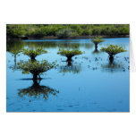 Salt marsh with mangroves greeting card