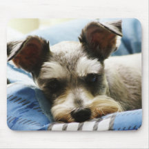 Salt & Pepper Mini Schnauzer Mousepad
