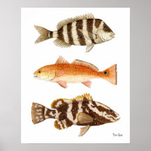 Salt Water Game Fish Poster