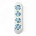 Salta, Argentina skateboards