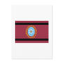 Salta flag postcard