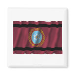 Salta waving flag magnets