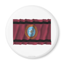 Salta waving flag magnets