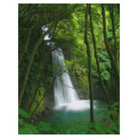 Salto do Prego, Azores flyers