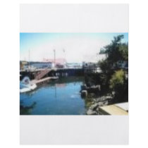 saltspring dock personalized flyer