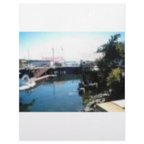 saltspring dock personalized letterhead