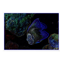 Saltwater Angel posters by ca1225 Saltwater Angel posters