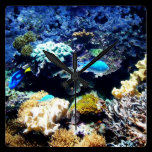 Saltwater aquarium Square clock wall clocks