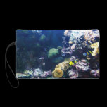 Saltwater aquarium bagettes bags