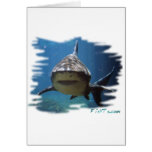 Saltwater Collection by FishTs.com Card