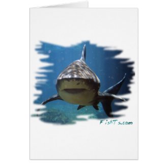 Saltwater Collection by FishTs.com Card