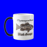 Saltwater Collection by FishTs.com