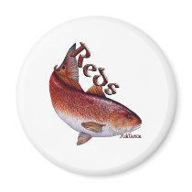Saltwater Collection of Fish magnets