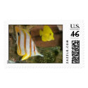 Saltwater fish postage