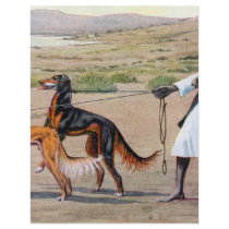 saluki flyers