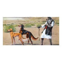 saluki photo cards