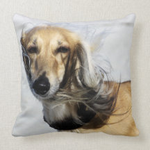 Saluki Portrait - Beach Dogs Throw Pillows