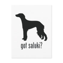 Saluki Post Cards