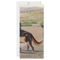 saluki rack cards