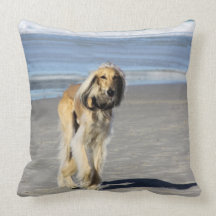 Saluki Stroll on the Beach Pillows