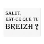 Salut, est-ce que tu breizh ? postcard