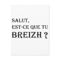 Salut, est-ce que tu breizh ? postcard