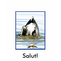 Salut! T-Shirt