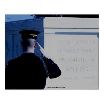 Salute, Tomb of the Unknown Soldier Poster by daysrays