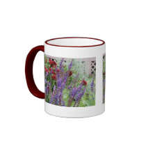 salvia and mums 2x pics mugs