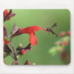 Salvia and Native Bee Mousepad