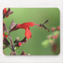 Salvia and Native Bee Mousepad