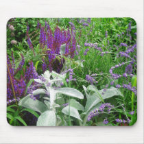 Salvia, Lambs ear and Lavendar mousepads