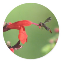 Salvia & Native Bee Sticker by naturegirl7 Salvia & Native Bee Sticker