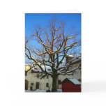 salzburg snow tree greeting cards