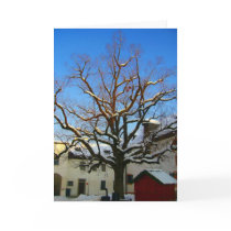 salzburg snow tree cards by cardart salzburg snow tree cards