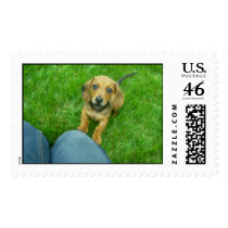 Sam 2 postage by RobinLynn27 Sam 2 postage