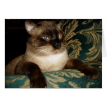 Sam Feline Leukemia Survivor Greeting Card cards