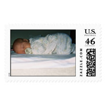 sam on floor 2.JPG postage