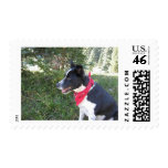 sam postage