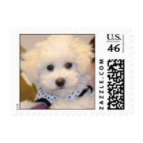 Samantha Stamps