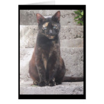 Samantha the Bush Cat cards